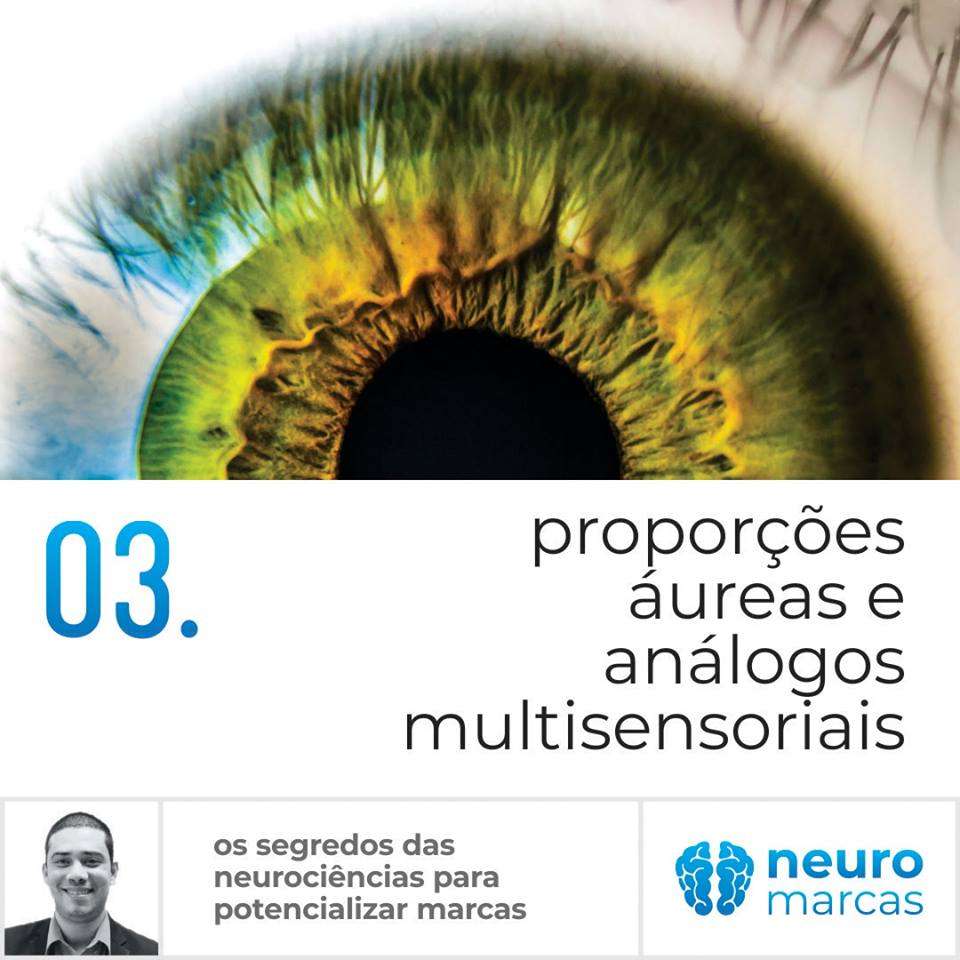 neurolab 03 03. Proporções áureas e análogos multi sensoriais!