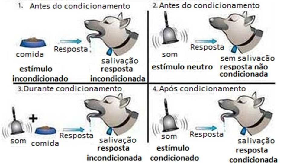 ANCORAS DA PNL E CONDICIONAMENTO - SILAS NEVES ANCORAS DA PNL E CONDICIONAMENTO - SILAS NEVES