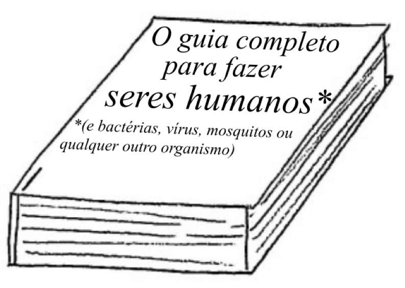 Imagem da Bocaina Imagem da Bocaina