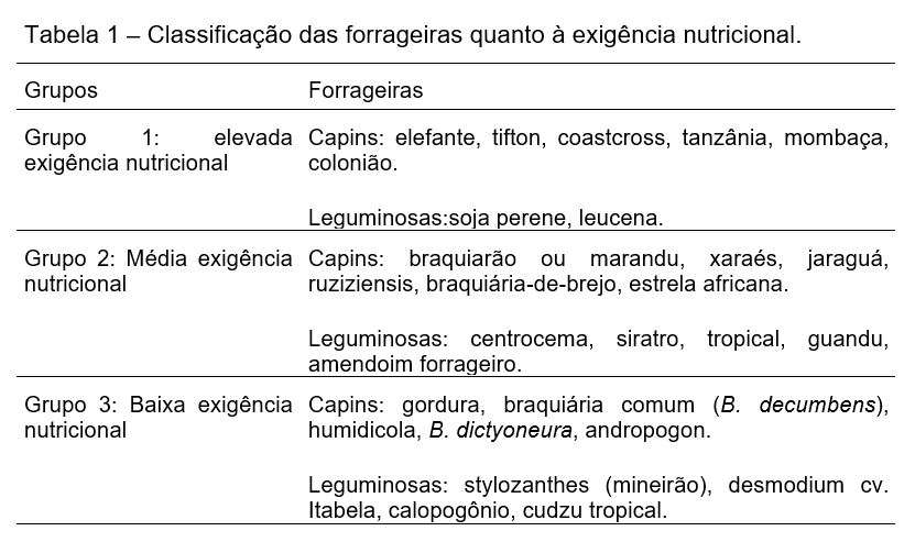 Exemplo de imagem