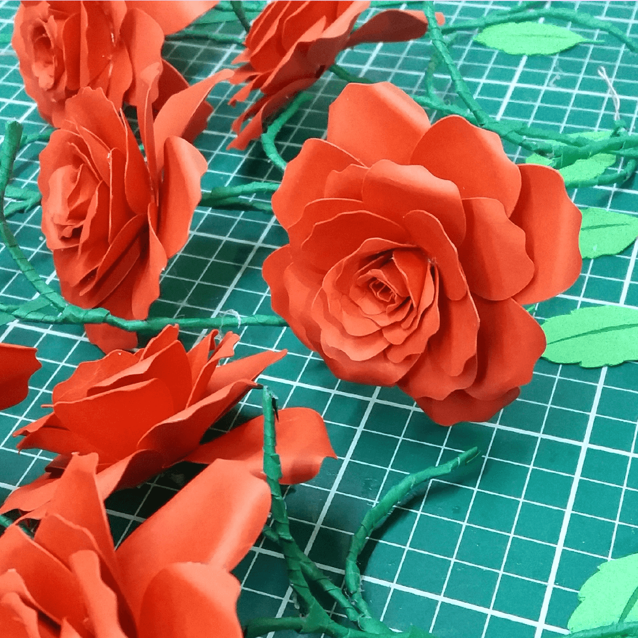 Flores