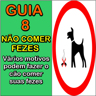 Título do Vídeo