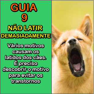 Título do Vídeo