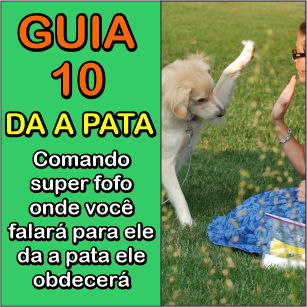 Título do Vídeo