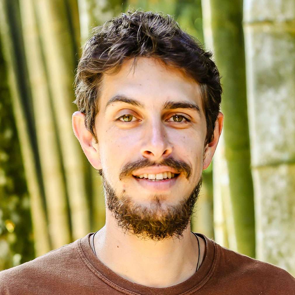 MENTE: Saúde Quântica