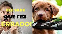 Título do Vídeo