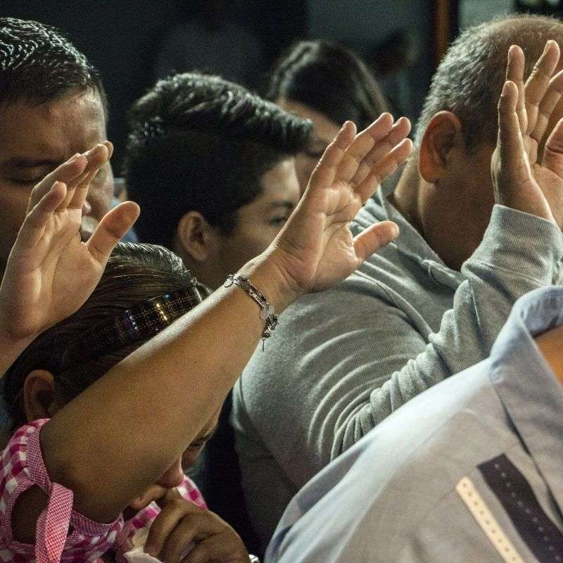 MENTE: Saúde Quântica