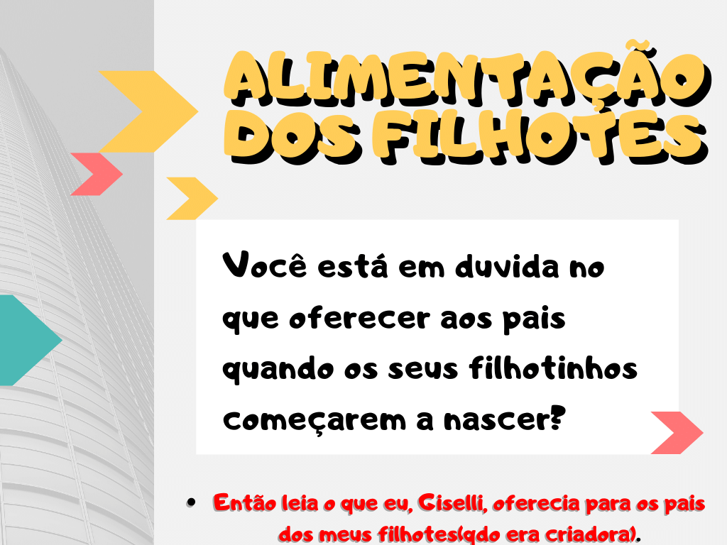 Título do Vídeo